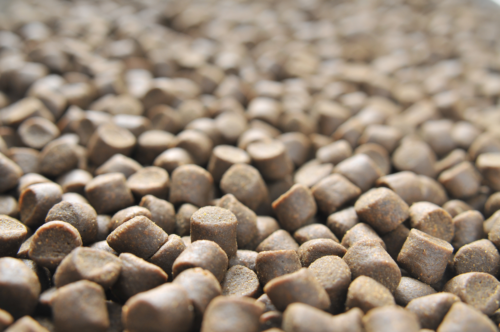 Aquaculture Feed